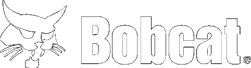 Bobcat